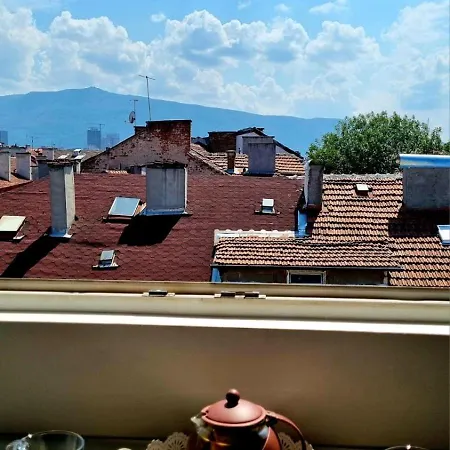 Miky's Cozy Sofia